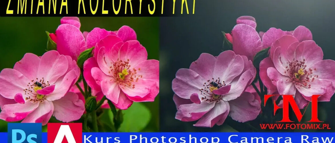 Efekt zmiany kolorystyki fotografii. Dodatkowo użycie Camera Raw
