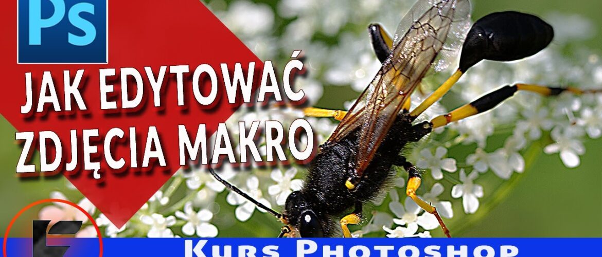 Jak edytować zdjęcia makro
